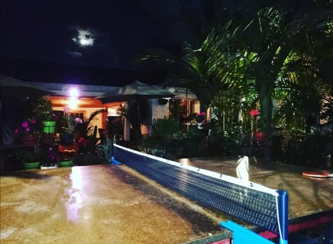 Hostal Hilltop Salento Eksteriør billede