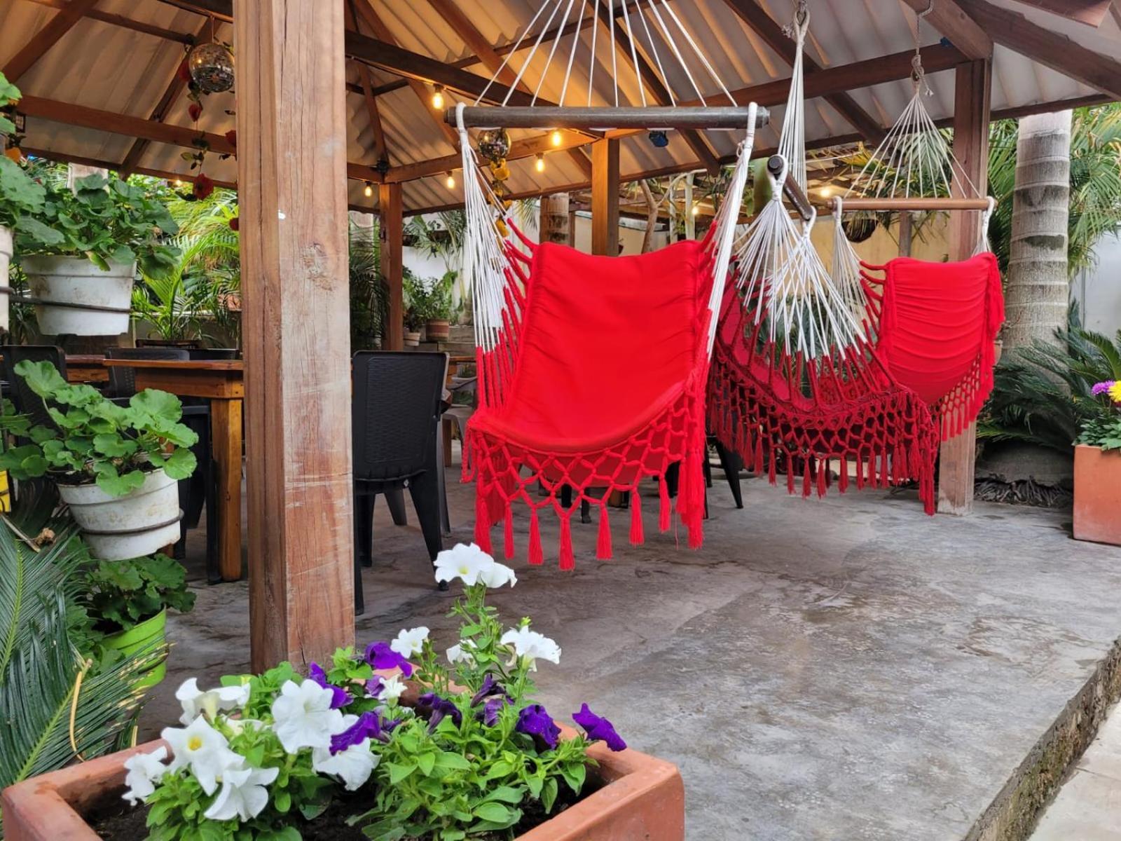Hostal Hilltop Salento Eksteriør billede
