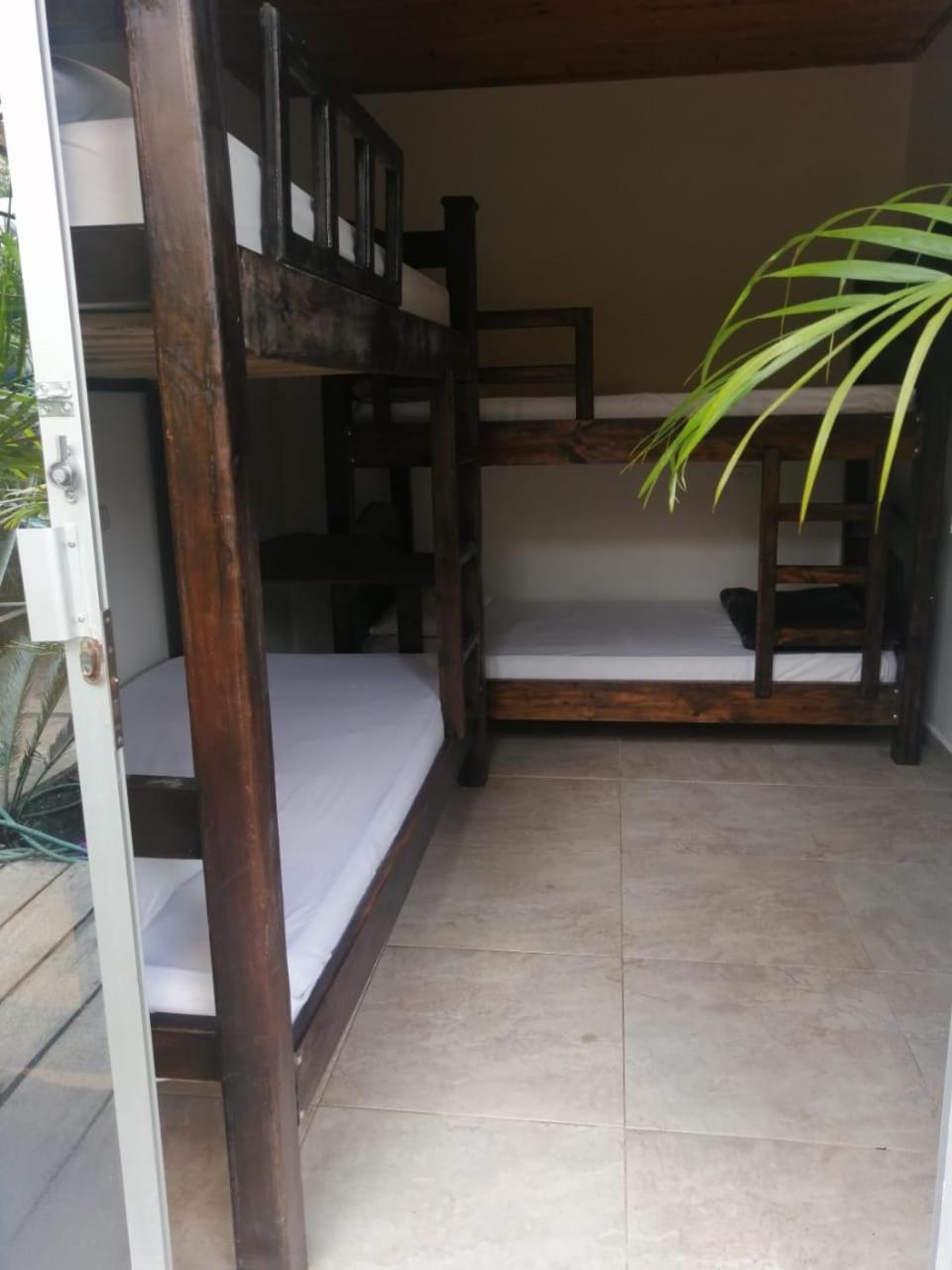 Hostal Hilltop Salento Eksteriør billede